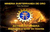 Mineria subterranea de oro upc 2014  gerardo días