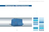 Weg motores-sincronicos-50027895-catalogo-espanol