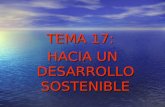 Desarrollo sostenible CTMA TEMA 17