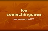 Cáceres-Los comechingones