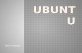 Particiones de Ubuntu