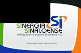 Sinergia Sinaloense Presentacion General