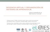 Docencia Virtual y Organización de Sistemas de Aprendizaje.