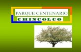 Parque centenario Chincolco