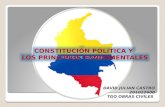 Constitución politica de colombia y principios fundamentales.