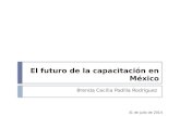 El futuro de la capacitación en México