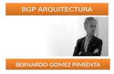 Bgp arquitectura