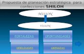 Presentacion plan estrategico shiloh