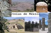 Etnias De Mexico