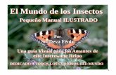 El Mundo de los Insectos