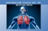 Ex. ap. respiratorio 2