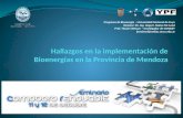 Hallazgos en la implementación de Bioenergías en la Provincia de Mendoza