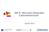Informe Mila julio de 2012