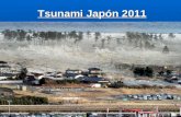 Tsunami de Japón 2011