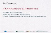Informe preferia marruecos 2013