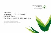 Seminario sobre la Gestión y Eficiencia energética en SEAS