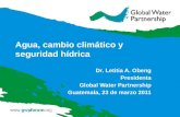 Agua, cambio climático y seguridad hídrica, Dr. Letitia A. Obeng Presidenta Global Water Partnership Guatemala, 23 de marzo 2011