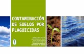 Contaminación de suelos por plaguicidas