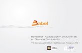 BABEL. VIII SEMANA DEL CMMI 2013. Bondades, adaptación y evolución de un Servicio Gestionado.