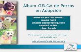 Fundación ORCA - Perros en adopción 7 de Junio de 2015