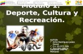 Formacion Critica I: Cultura, Deporte y Recreacion