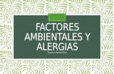 Alergias: factores ambientales