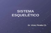 Embriologia - Sistema esqueletico - Dr. Peralta