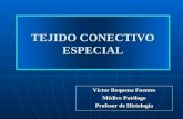 Tejido Conectivo Especial - Dr. Requena Upao - Medicina
