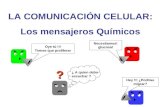Mensajeros químicos (comunicacion celular)