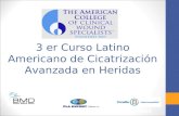 3er Curso Latino Americano de Cicatrización Avanzada en Heridas (III)