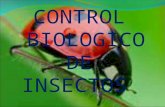 Control biologico de onsectos