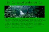 C:\Documents And Settings\1av3\Mis Documentos\1 Av Alexander Urbano\Ret\En Lo Profundo De La Selva