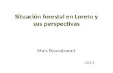 Situación forestal en loreto y sus perspectivas