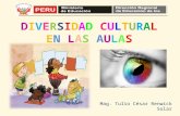 Diversidad cultural aulas