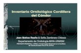 Inventario ornitologico de la Cordillera del Condor, Peru - Ecuador