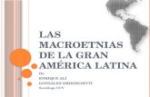 Las macroetnias de la gran américa latina