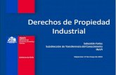 Derechos de propiedad industrial. Charla 17 de mayo