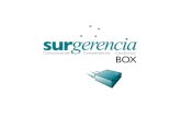 Catálogo surgerencia box 27062010