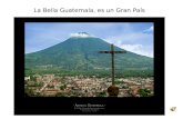 Guatemala Viva