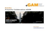 Proyecto Colaborativo eGAM Buenos Aires 2011