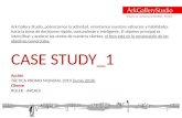 Case study, roler 2010, ark gallery studio, marketing branding graphic internet