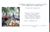 Asistencia Técnica en el Cultivo de Cacao en el Municipio de Garzón (Huila)