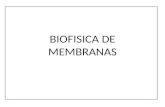 Biofisica de membranas