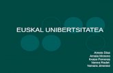 Euskal Unibertsitatea-komunikazio plana