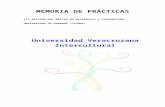 Universidad Veracruzana Intercultural- Memoria de prácticas. Sara López Davidson