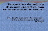 Perspectivas de mejora y desarrollo energético para las zonas rurales en México