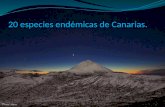 20 especies endémicas de Canarias.