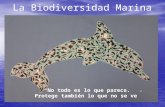 Mm concepcionistas, barcelona. infantil 5 años la biodiversidad marina
