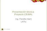 Proyecto Ceibal: Presentación técnica