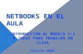 Netbook en el aula- Cecilia Sagol
